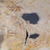 Coffee table petrified wood 52214