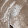 Coffee table petrified wood 52214