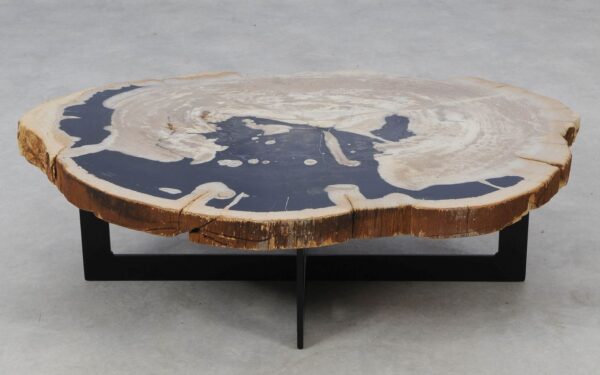 Coffee table petrified wood 52220