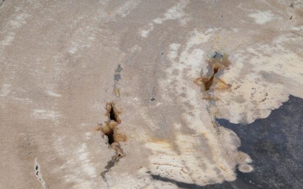 Coffee table petrified wood 52220