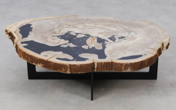 Coffee table petrified wood 52221