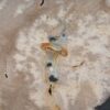 Coffee table petrified wood 52221