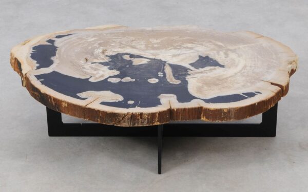 Coffee table petrified wood 52222