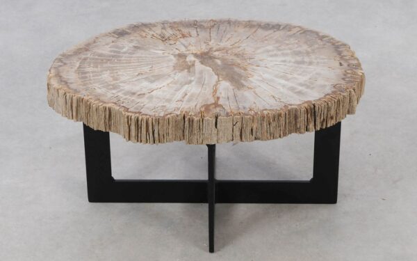 Coffee table petrified wood 52223