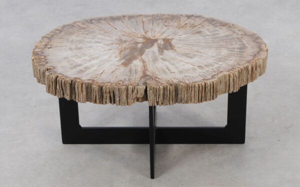 Coffee table petrified wood 52224