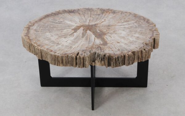 Coffee table petrified wood 52225