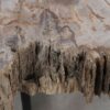 Coffee table petrified wood 52225