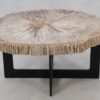 Coffee table petrified wood 52226