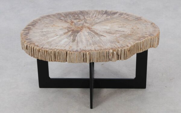 Coffee table petrified wood 52226
