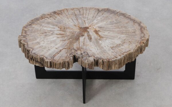 Coffee table petrified wood 52227