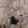 Coffee table petrified wood 52227
