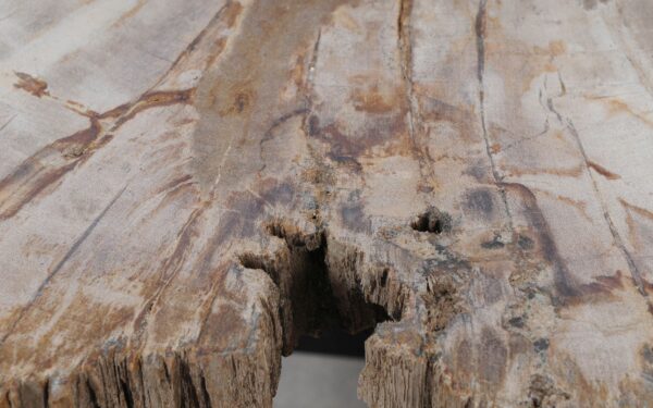 Coffee table petrified wood 52227