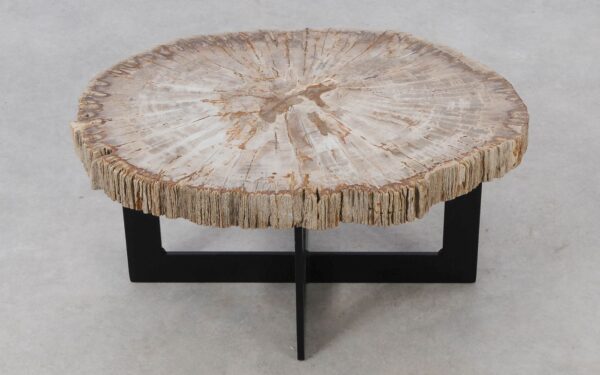 Coffee table petrified wood 52228