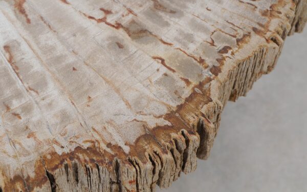 Coffee table petrified wood 52228