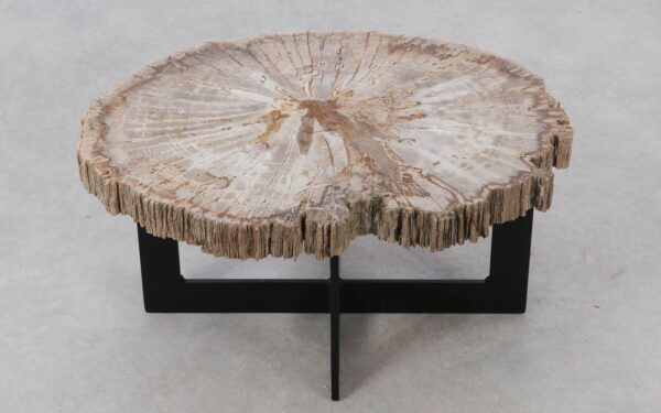 Coffee table petrified wood 52229