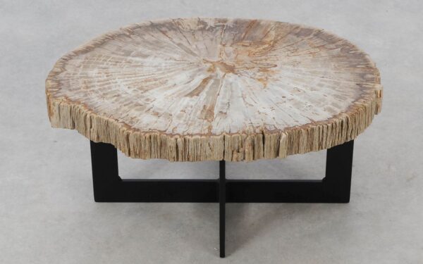 Coffee table petrified wood 52230