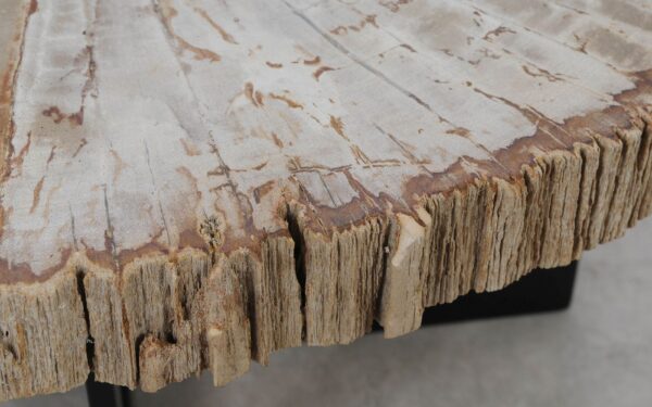 Coffee table petrified wood 52230