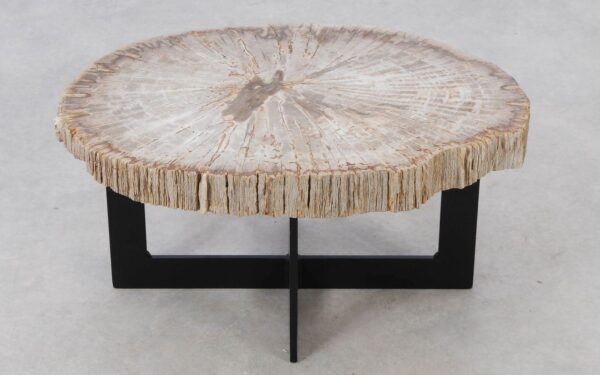 Coffee table petrified wood 52231