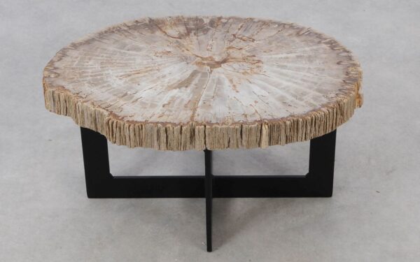 Coffee table petrified wood 52232