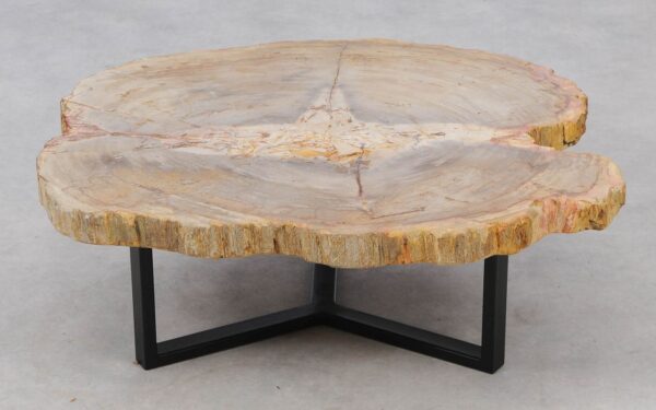 Coffee table petrified wood 52234