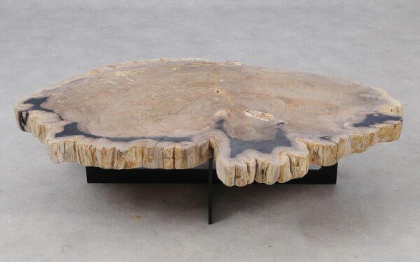 Coffee table petrified wood 52236