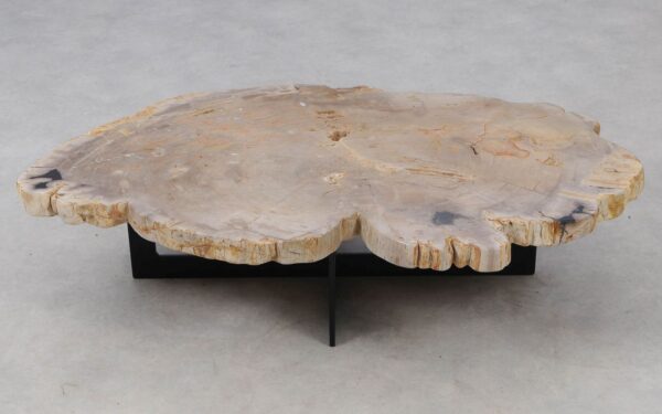 Coffee table petrified wood 52239