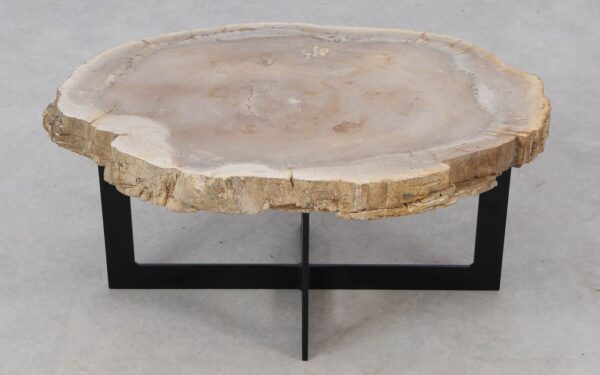 Coffee table petrified wood 52240