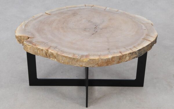 Coffee table petrified wood 52241