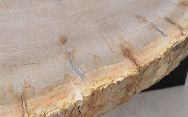 Coffee table petrified wood 52241