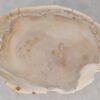 Coffee table petrified wood 52242