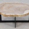 Coffee table petrified wood 52242