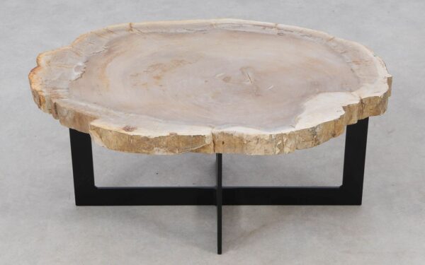 Coffee table petrified wood 52242