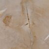 Coffee table petrified wood 52242