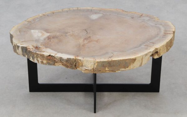 Coffee table petrified wood 52243