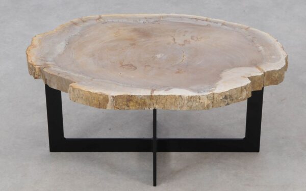 Coffee table petrified wood 52244