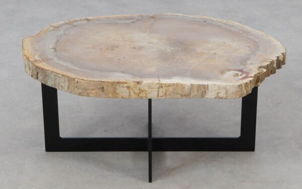 Coffee table petrified wood 52245