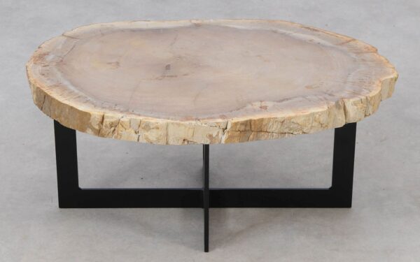 Coffee table petrified wood 52246