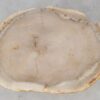 Coffee table petrified wood 52247