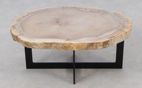 Coffee table petrified wood 52247