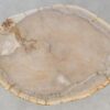 Coffee table petrified wood 52248