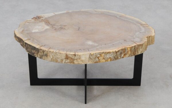 Coffee table petrified wood 52248