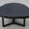 Coffee table petrified wood 52249