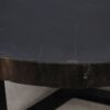 Coffee table petrified wood 52249