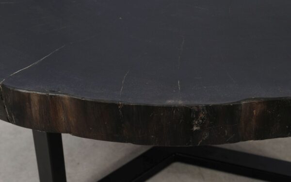 Coffee table petrified wood 52249