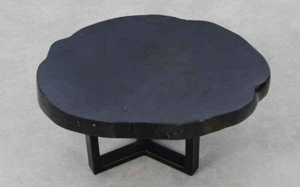 Coffee table petrified wood 52250