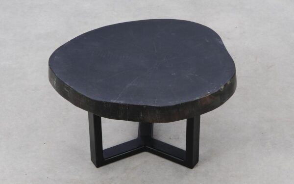 Coffee table petrified wood 52251