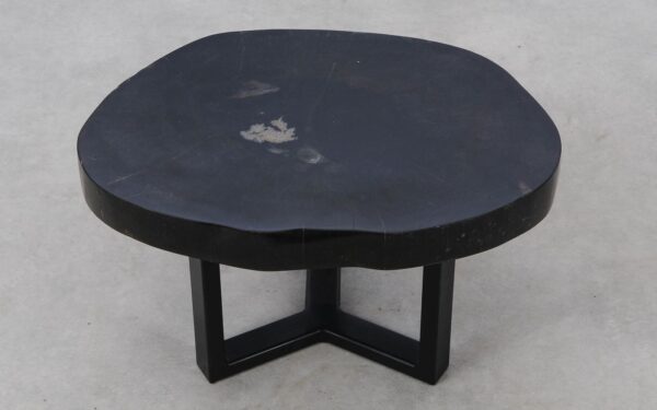 Coffee table petrified wood 52252