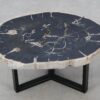Coffee table petrified wood 52285