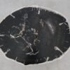 Coffee table petrified wood 52286