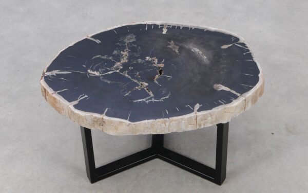 Coffee table petrified wood 52286